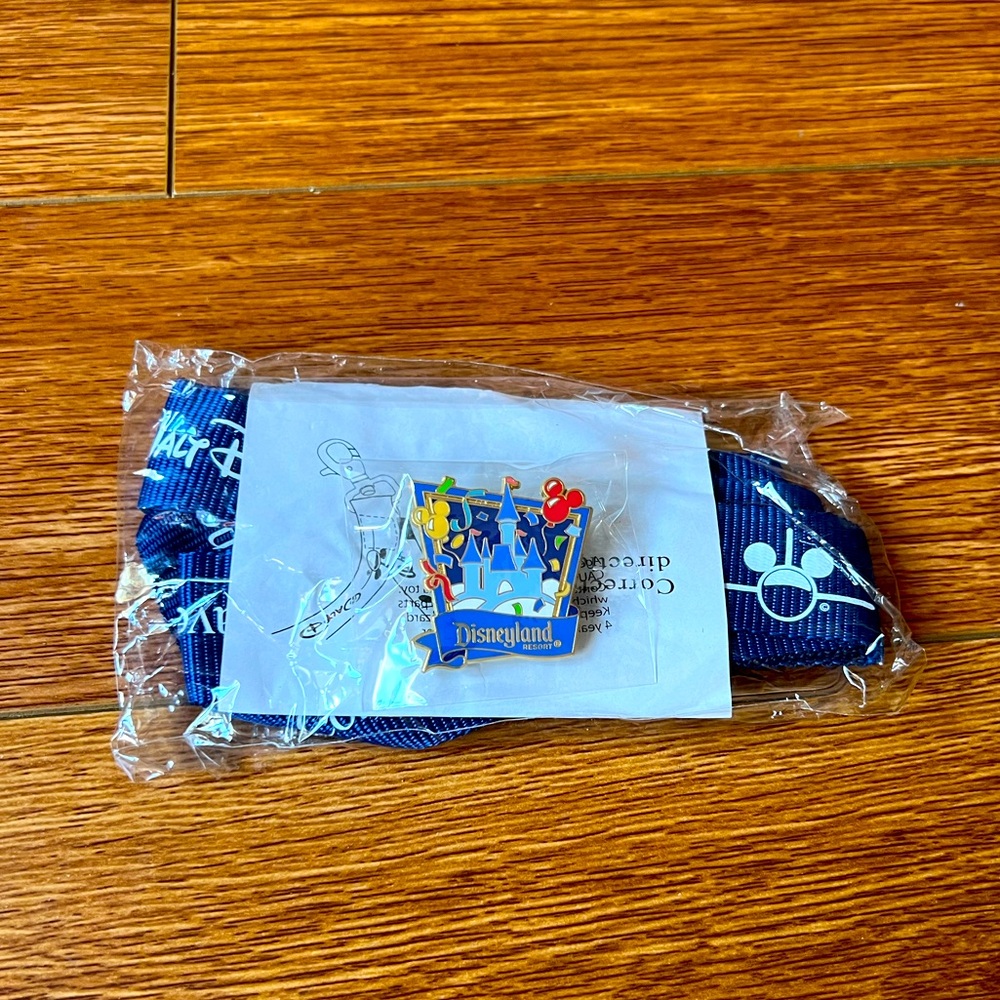 Disney lanyard and pin